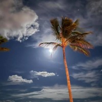 R.M.Habeck Consulting LLC Employee Robert Habeck's profile photo