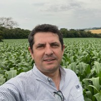 Mauro Alberton Email & Phone Number