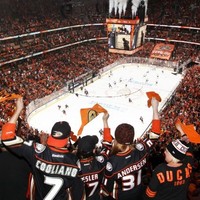 Anaheim Ducks Employee Chris Kenyon's profile photo