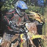 Countryside Motorhomes Employee Gary Cheetham's profile photo