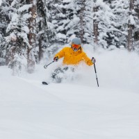 HEAD Employee Andrew Couperthwait's profile photo