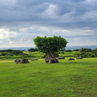 ST Capital Controls LLC Employee Sam Torres's profile photo