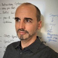 Markus Müschen Email