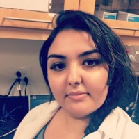 ResearchDx Employee Romina Nabiee's profile photo