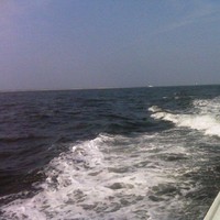 AFGE Employee Jack Riismandel's profile photo