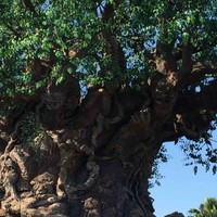 Walton County School District Employee Rick Weeks's profile photo