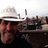 William Varner Email & Phone Number
