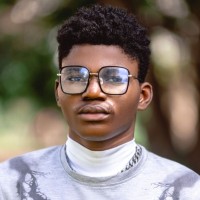Avitech Software Solutions Employee Dauda Agbonoga's profile photo