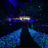 優作 鹿毛 Email