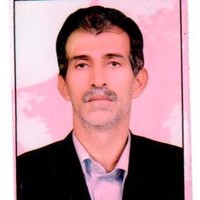 BIPC Employee Ali Roshani's profile photo