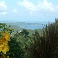 PartSelect.com Employee Treva Goyette's profile photo