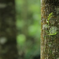 Nym Employee Raphaël Walther's profile photo