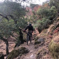 Next Intent Employee Jesse Hesch's profile photo