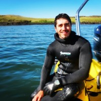 Kóði Employee Leonardo del Vecchio's profile photo