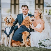 Service Electric and Control Inc Employee Tyler Carriker's profile photo