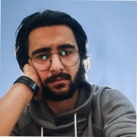 Visual Conversion Employee Sina Rajabpour's profile photo