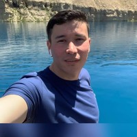 Ali Panahi Email
