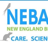 Nebaalas Branch of Aalas Email