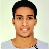 Alaa Ragab Email