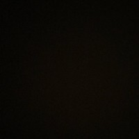 Sharp School Employee Cate Harding's profile photo