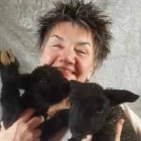 Debbie Martzall