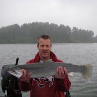 D&T Excavation Employee Mike Ober's profile photo