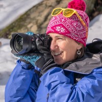 Marion Abrams Email & Phone Number