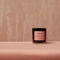 Boy Smells Employee Matthew Herman's profile photo