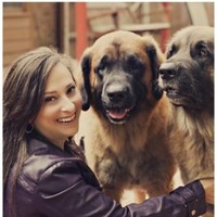 Sit Means Sit Dog Training Employee Amy Garabedian's profile photo