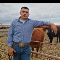 MEGAVET Employee Mario Alvidrez Carbajal's profile photo