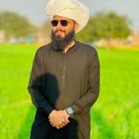 dotnet Report Builder Employee Engr. Waheed's profile photo