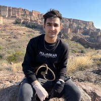 Bhuveer Kodnani Email