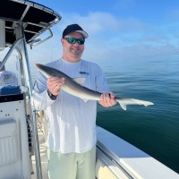 Hale Trailer Brake & Wheel, Inc. Employee Eric Beauchea's profile photo