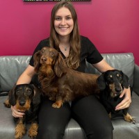 PetVet365 Employee Anna Doll's profile photo