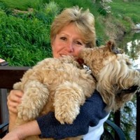 BeLeaf Medical Employee Mitch Meyers's profile photo