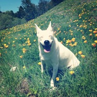 Santa Cruz Bicycles Employee Scott Veach's profile photo