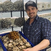 Henosis Employee David Wells's profile photo