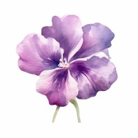 Ender Employee Violet Mirra's profile photo