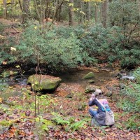 Jockey International, Inc. Employee Megan Woods's profile photo