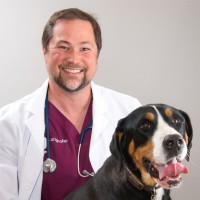 Hippo Veterinary Group Employee Bill Langhofer's profile photo