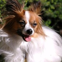 Lamesa RV Employee John Hanawalt's profile photo