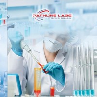 Pathline Labs Email