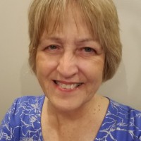 Bee Window Employee Deb Dorris's profile photo