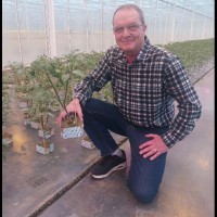 Bevo Farms Ltd Employee Peter Kuijvenhoven's profile photo