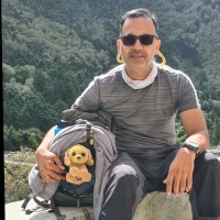 Vikas Bhasin Email & Phone Number