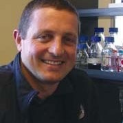 The Australian Veterinary Association Employee James Gilkerson's profile photo