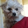 Source Salon Employee Andrea Lodato's profile photo