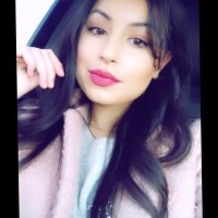 The Fox Alliance Employee Nour Zrein's profile photo