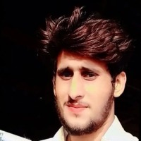 Yellow Arrows, LLC Employee Abbas Qasori's profile photo