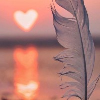 مقاولات عامه Employee مدير المخازن's profile photo